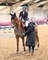 Harriette Rushton jumps to victory in the SEIB Winter Novice Championship Qualifier at Arena UK to secure her ticket in the Hickstead Final  